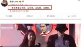 爆料某女星违法行为视频,引发社会广泛关注